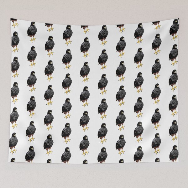 Item preview, Cara cara designed and sold by Meggie-moos.
