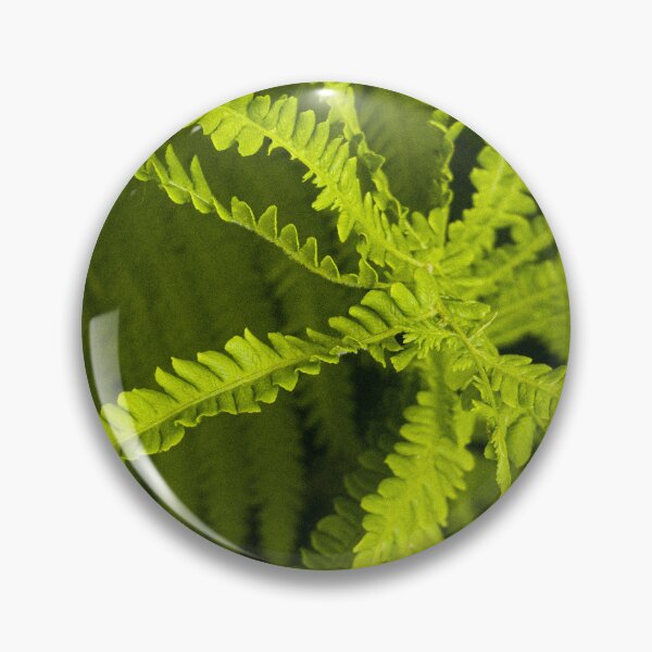 Item preview, Lush Green Fern Botanical Close-up designed and sold by Apex_Visuals.