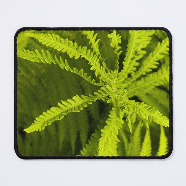 Item preview, Lush Green Fern Botanical Close-up designed and sold by Apex_Visuals.