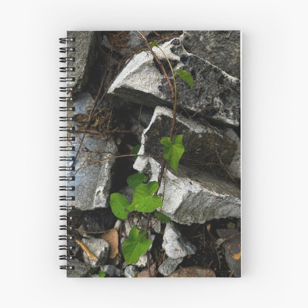Item preview, Resilience of Nature: Green Vine on Rocks designed and sold by Apex_Visuals.