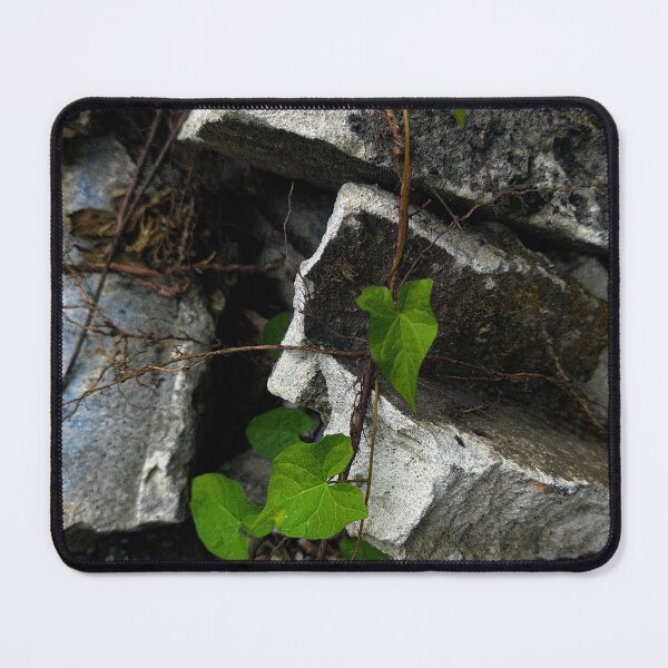 Item preview, Resilience of Nature: Green Vine on Rocks designed and sold by Apex_Visuals.