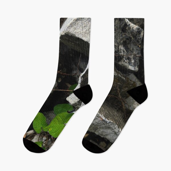 Item preview, Resilience of Nature: Green Vine on Rocks designed and sold by Apex_Visuals.