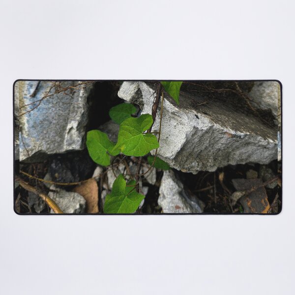 Item preview, Resilience of Nature: Green Vine on Rocks designed and sold by Apex_Visuals.