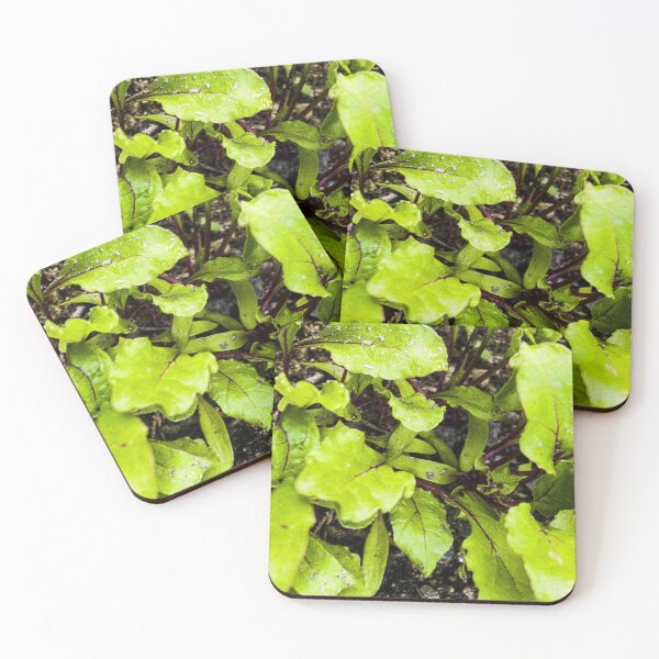 Item preview, Young Bright Green Beet Leaves designed and sold by Apex_Visuals.