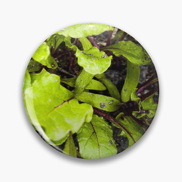Item preview, Young Bright Green Beet Leaves designed and sold by Apex_Visuals.