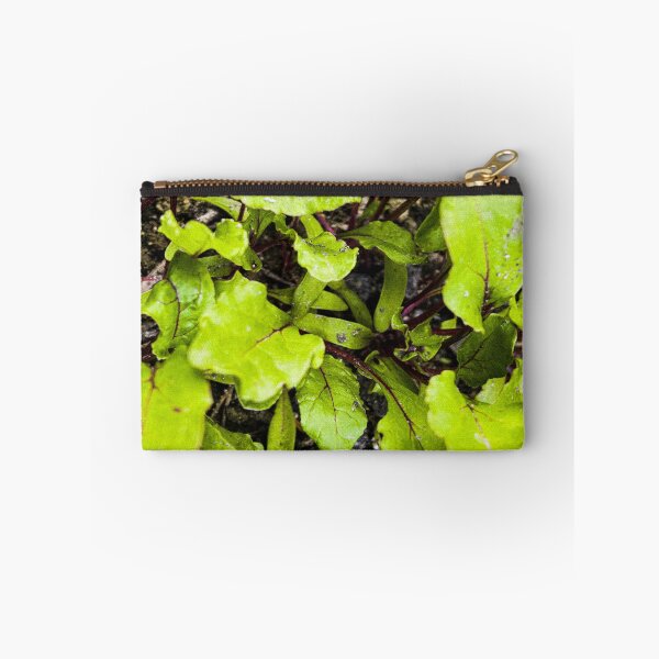 Item preview, Young Bright Green Beet Leaves designed and sold by Apex_Visuals.
