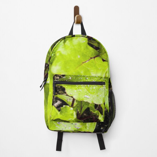 Item preview, Young Bright Green Beet Leaves designed and sold by Apex_Visuals.