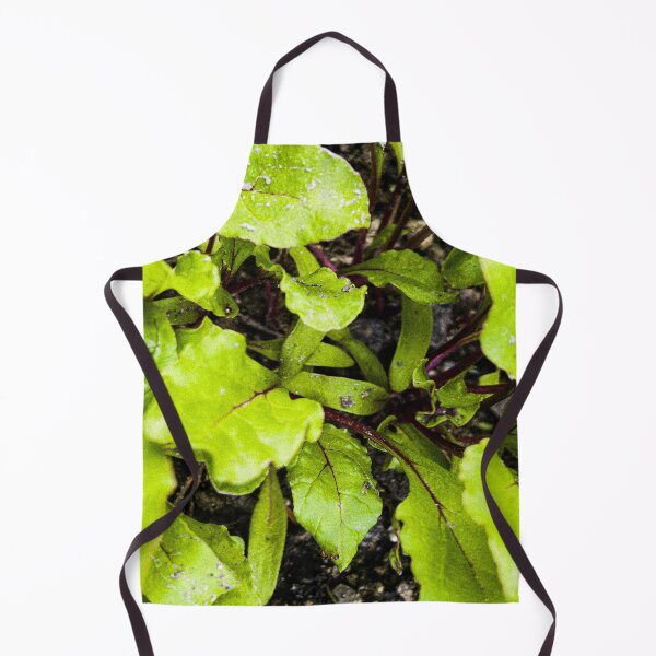 Item preview, Young Bright Green Beet Leaves designed and sold by Apex_Visuals.