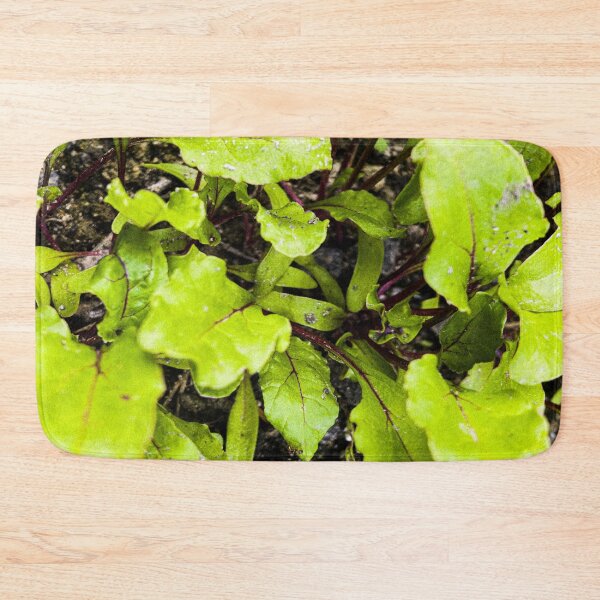 Item preview, Young Bright Green Beet Leaves designed and sold by Apex_Visuals.