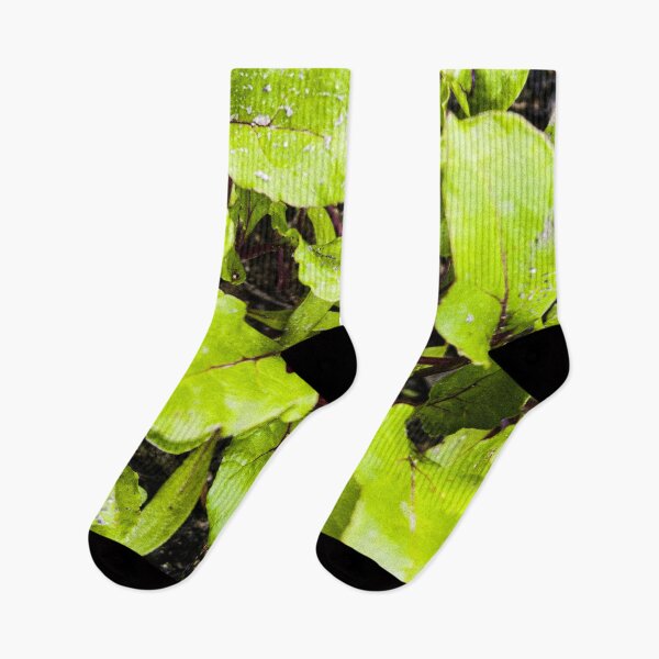Item preview, Young Bright Green Beet Leaves designed and sold by Apex_Visuals.