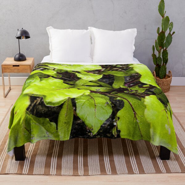 Item preview, Young Bright Green Beet Leaves designed and sold by Apex_Visuals.