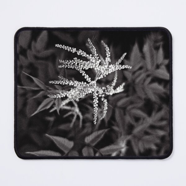 Item preview, Ethereal Astilbe: High Contrast Black & White designed and sold by Apex_Visuals.