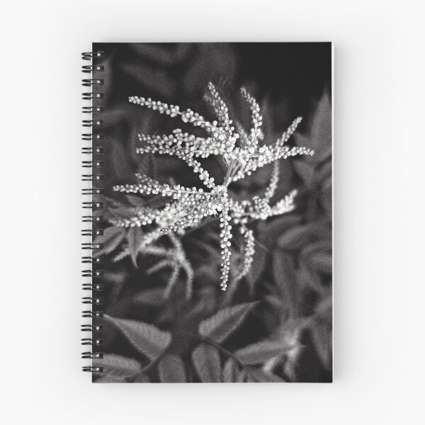 Item preview, Ethereal Astilbe: High Contrast Black & White designed and sold by Apex_Visuals.