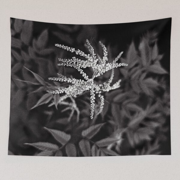 Item preview, Ethereal Astilbe: High Contrast Black & White designed and sold by Apex_Visuals.