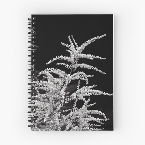 Item preview, Minimalist White Astilbe Bloom in Monochrome designed and sold by Apex_Visuals.