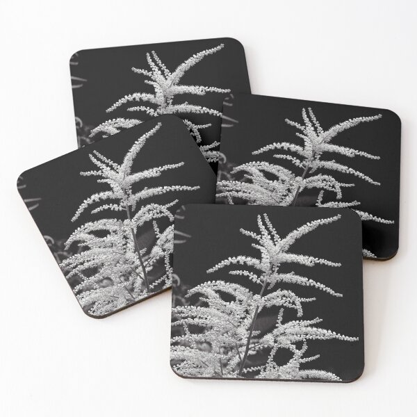 Item preview, Minimalist White Astilbe Bloom in Monochrome designed and sold by Apex_Visuals.