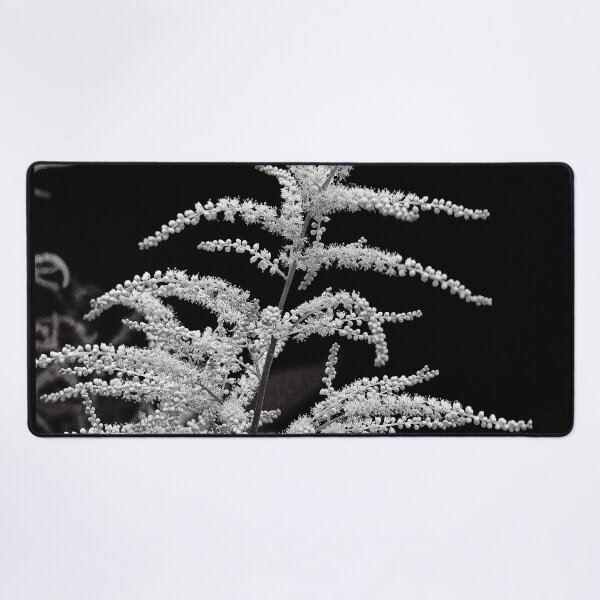 Item preview, Minimalist White Astilbe Bloom in Monochrome designed and sold by Apex_Visuals.