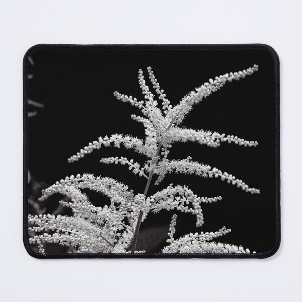 Item preview, Minimalist White Astilbe Bloom in Monochrome designed and sold by Apex_Visuals.