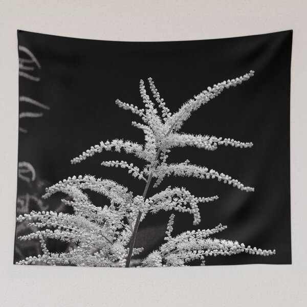 Item preview, Minimalist White Astilbe Bloom in Monochrome designed and sold by Apex_Visuals.