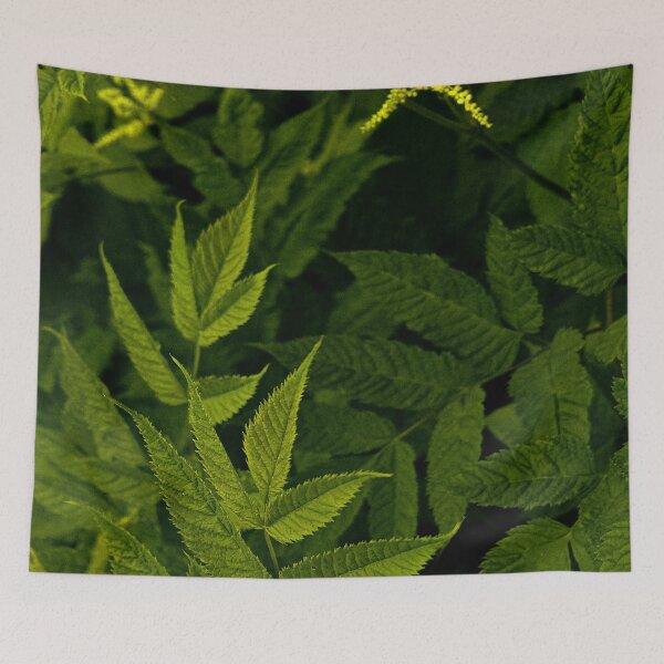 Item preview, Deep Green Forest Foliage Pattern designed and sold by Apex_Visuals.
