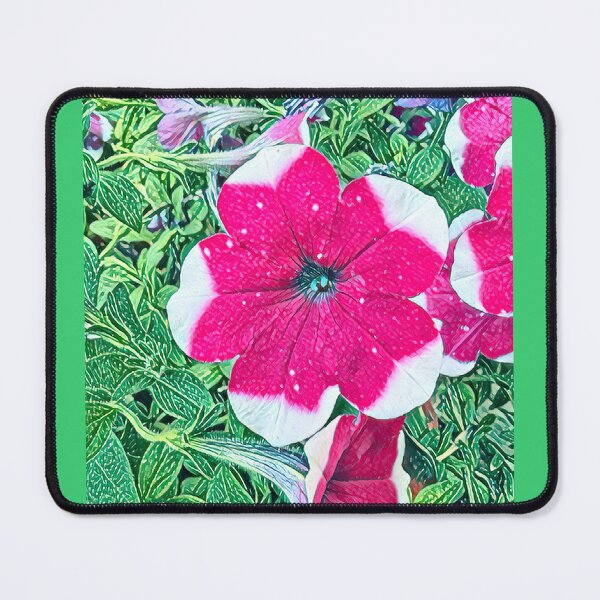 Item preview, Impressionist Pink and White Bi-Color Petunia Flower Art designed and sold by BalkanBloom.