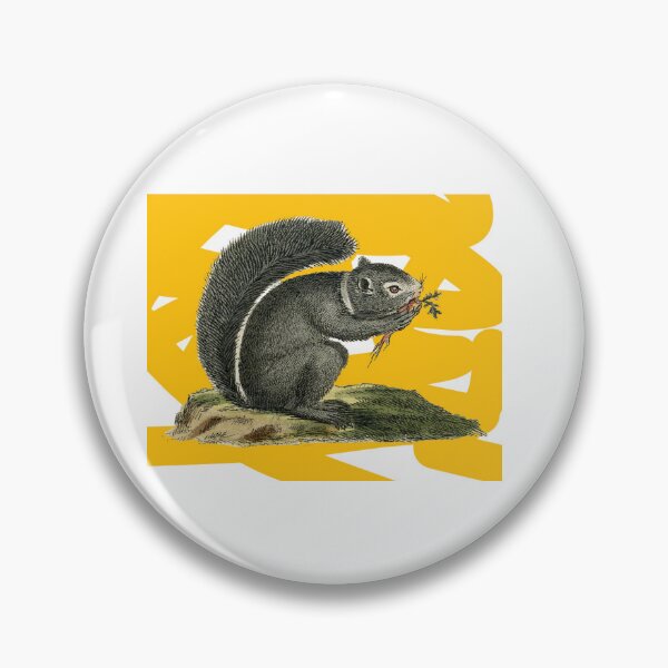 Item preview, Squirrel Vintage Sticker designed and sold by Chris Winn.