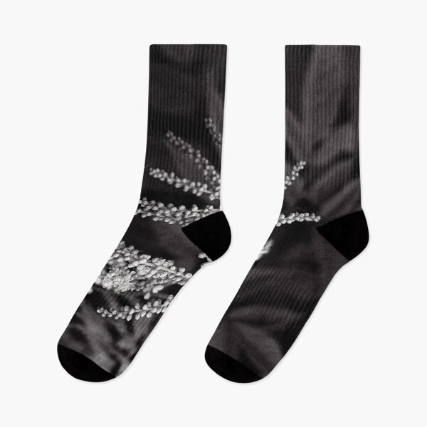 Item preview, Vintage-Style Botanical Monochrome Grain Print designed and sold by Apex_Visuals.