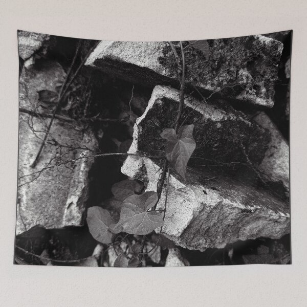 Item preview, Reclaiming Nature: Vine and Concrete Monochromatic Art designed and sold by Apex_Visuals.