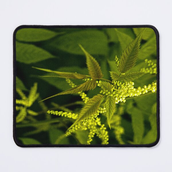 Item preview, Vintage Moody Green Botanical Bloom designed and sold by Apex_Visuals.