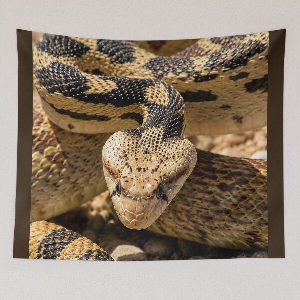 Item preview, Desert Guardian designed and sold by Kimberly Palmer.