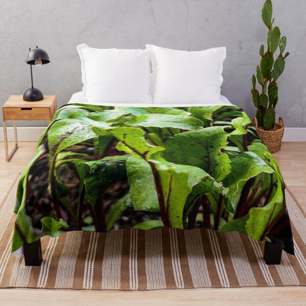 Item preview, Fresh Young Beet Leaves in Garden Soil designed and sold by Apex_Visuals.