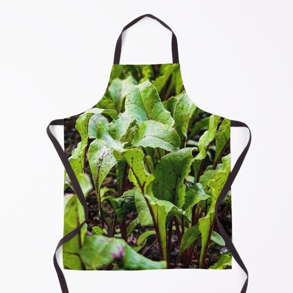 Item preview, Fresh Young Beet Leaves in Garden Soil designed and sold by Apex_Visuals.