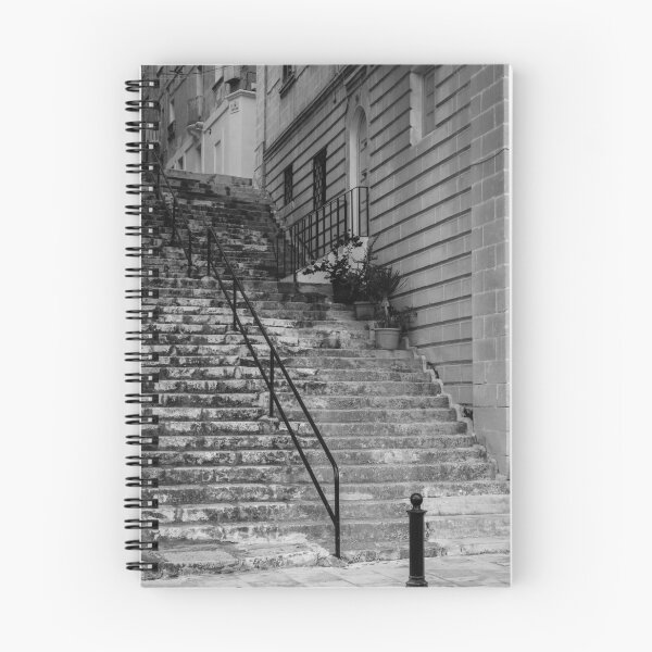 Item preview, Weathered Stone Steps With Iron Railing Beside Historic Urban Building In Monochrome designed and sold by Nmallia.