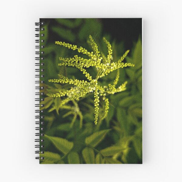 Item preview, Vibrant Green Fern Frond Symmetrical Botanical Print designed and sold by Apex_Visuals.