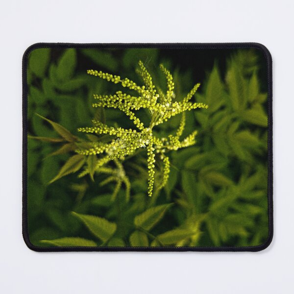 Item preview, Vibrant Green Fern Frond Symmetrical Botanical Print designed and sold by Apex_Visuals.