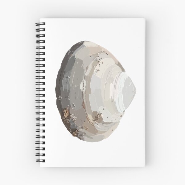 Item preview, Hand drawn beach seashell, Coastal, Ocean, Nautical designed and sold by LilyandLime.