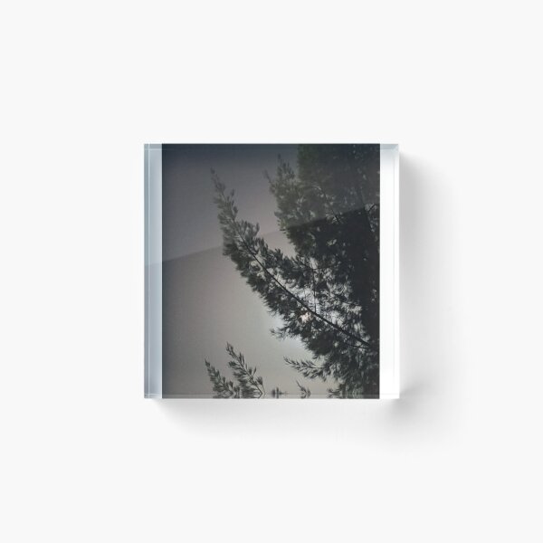 Item preview, Dark Conifer Branches Obscuring Night Orb designed and sold by FrankOliver.
