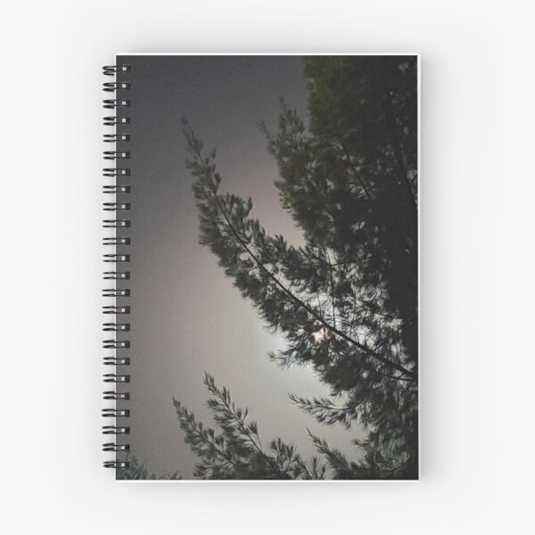 Item preview, Dark Conifer Branches Obscuring Night Orb designed and sold by FrankOliver.