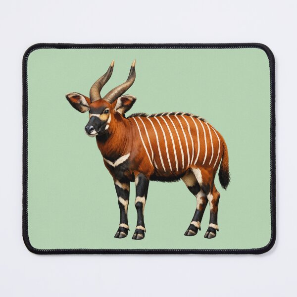 Item preview, Bongo designed and sold by RAMIRELLI.