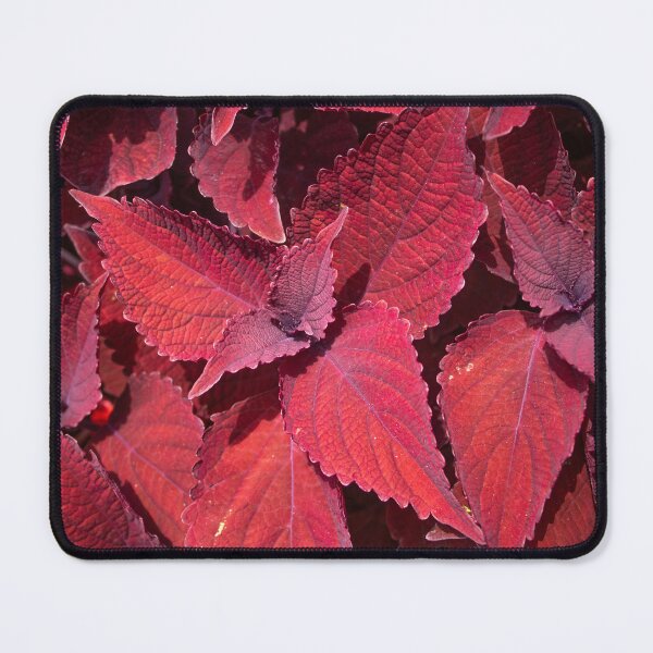 Item preview, Red Leaf Cluster designed and sold by EyeRhein.