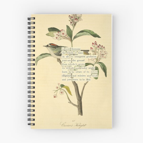 Item preview, Bird Divination: Cuvier's Kinglet (almanacofbirds.org) designed and sold by mariapopova.