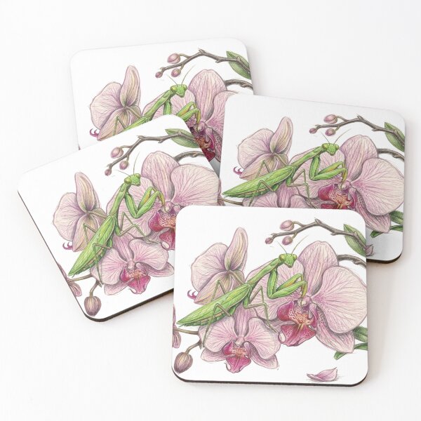 Item preview, Entomological illustration: Praying mantis on orchid designed and sold by Green-Natura.