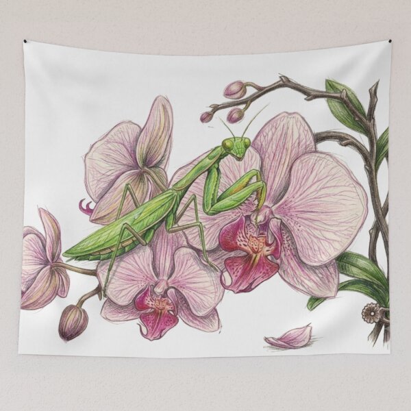 Item preview, Entomological illustration: Praying mantis on orchid designed and sold by Green-Natura.