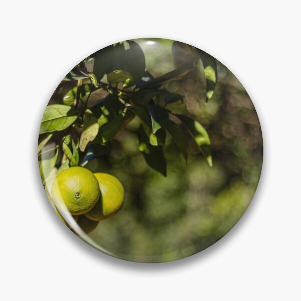 Item preview, Green Oranges on a Branch in Sunlit Citrus Orchard With Lush Leaves and Bokeh Background designed and sold by Nmallia.