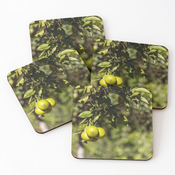 Item preview, Green Oranges on a Branch in Sunlit Citrus Orchard With Lush Leaves and Bokeh Background designed and sold by Nmallia.