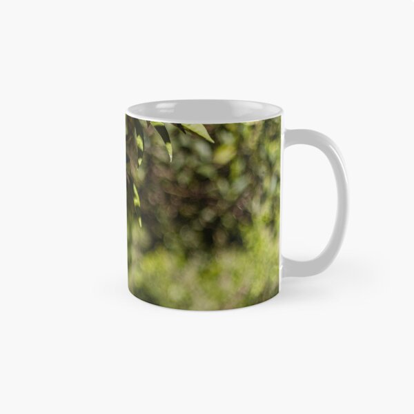 Item preview, Green Oranges on a Branch in Sunlit Citrus Orchard With Lush Leaves and Bokeh Background designed and sold by Nmallia.