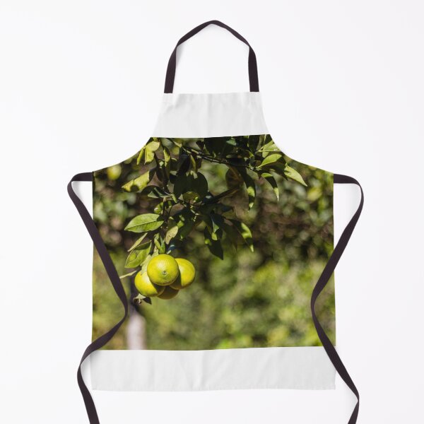 Item preview, Green Oranges on a Branch in Sunlit Citrus Orchard With Lush Leaves and Bokeh Background designed and sold by Nmallia.