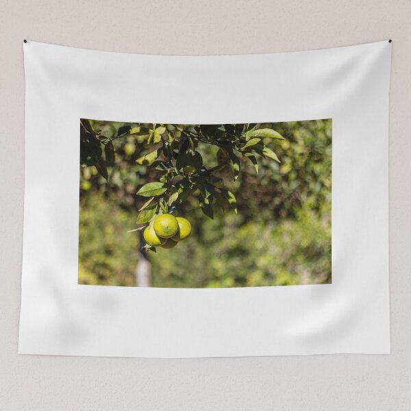 Item preview, Green Oranges on a Branch in Sunlit Citrus Orchard With Lush Leaves and Bokeh Background designed and sold by Nmallia.