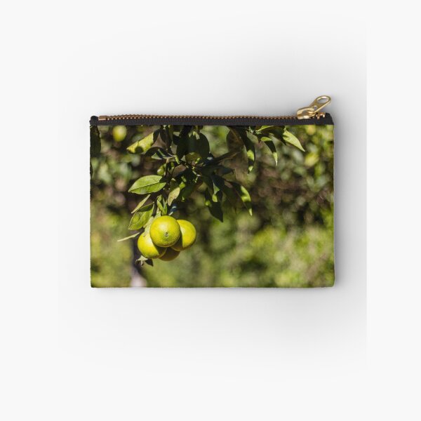 Item preview, Green Oranges on a Branch in Sunlit Citrus Orchard With Lush Leaves and Bokeh Background designed and sold by Nmallia.