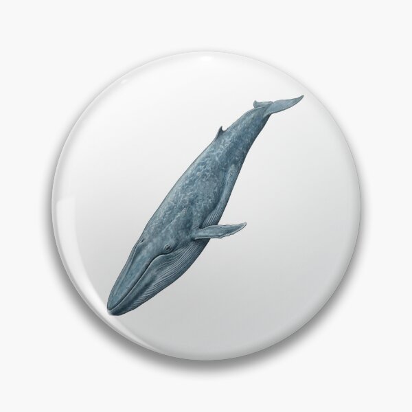 Item preview, Blue Whale designed and sold by Chaoscience.